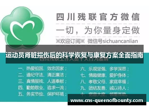 运动员肾脏损伤后的科学恢复与康复方案全面指南