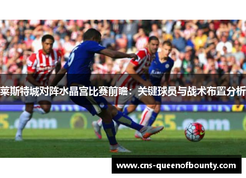 莱斯特城对阵水晶宫比赛前瞻：关键球员与战术布置分析