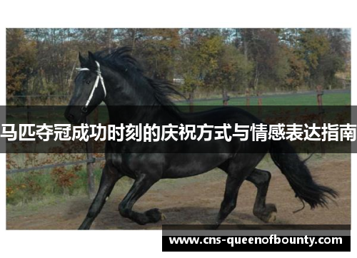 马匹夺冠成功时刻的庆祝方式与情感表达指南