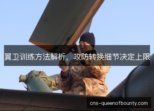 翼卫训练方法解析，攻防转换细节决定上限